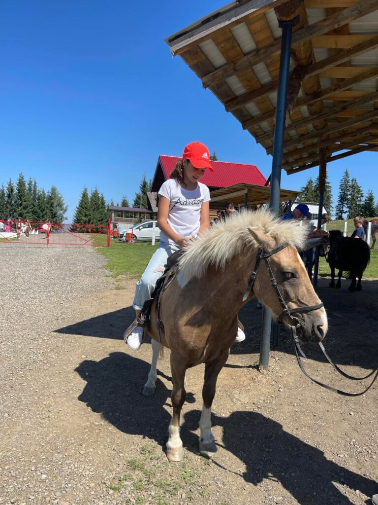 cazinoul din vatra dornei
